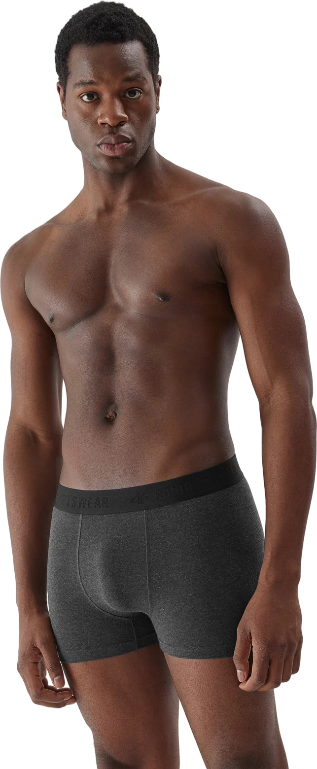 Боксеры мужские трусы 2 шт 4F BOXER SHORTS M027 (2pack)