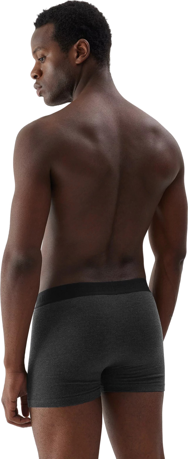 Боксеры мужские трусы 2 шт 4F BOXER SHORTS M027 (2pack)