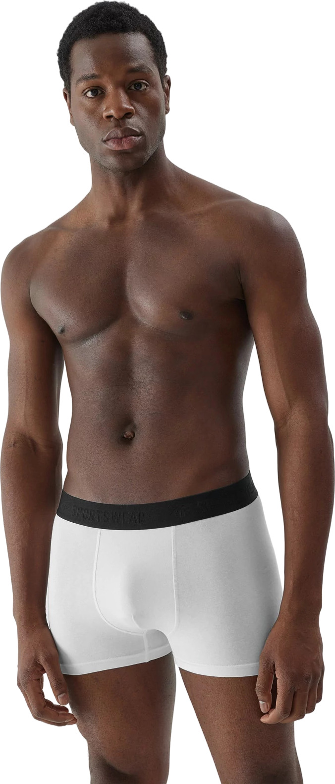 Боксеры мужские трусы 2 шт 4F BOXER SHORTS M027 (2pack)