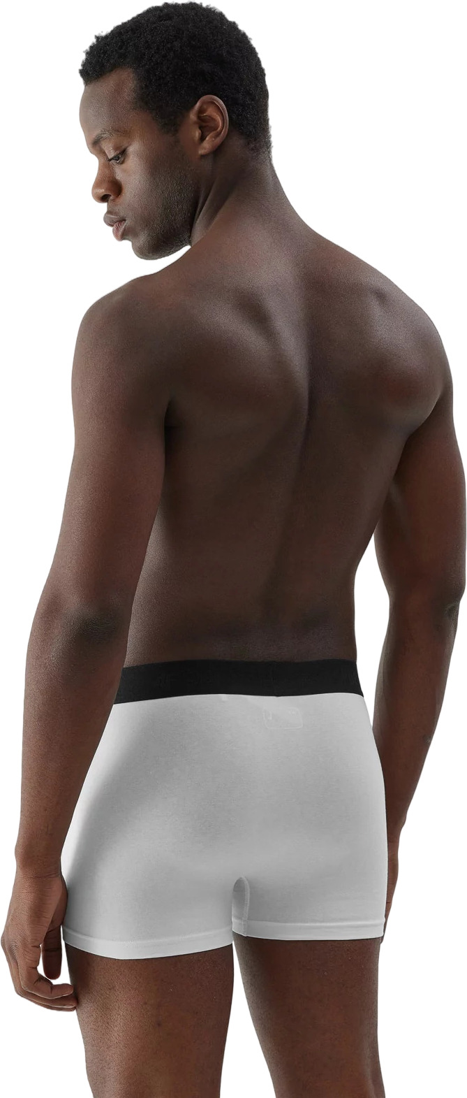 Боксеры мужские трусы 2 шт 4F BOXER SHORTS M027 (2pack)