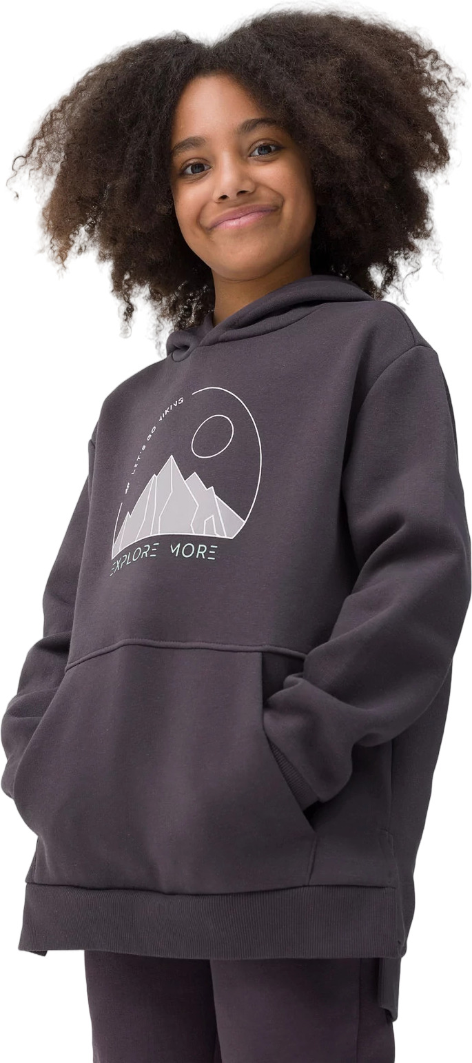 Худи 4F Sweatshirt F277