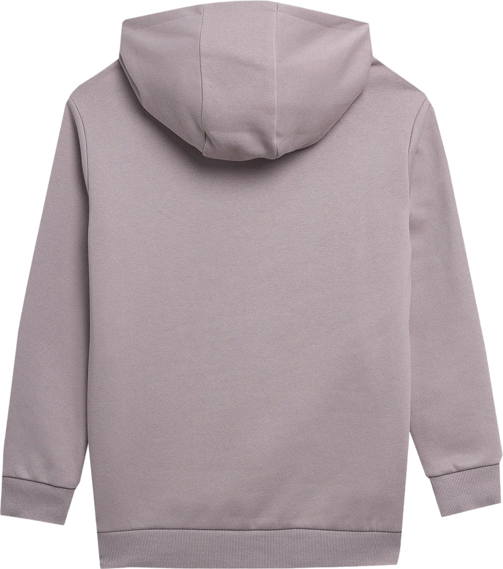 Худи 4F Sweatshirt F277