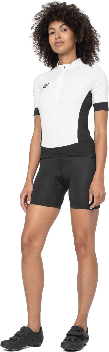 Шорты 4F Shorts Fnk F159