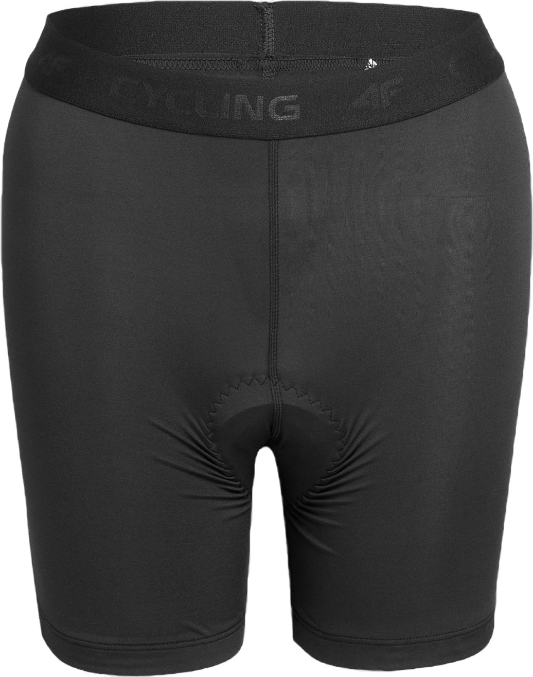 Шорты 4F Shorts Fnk F159