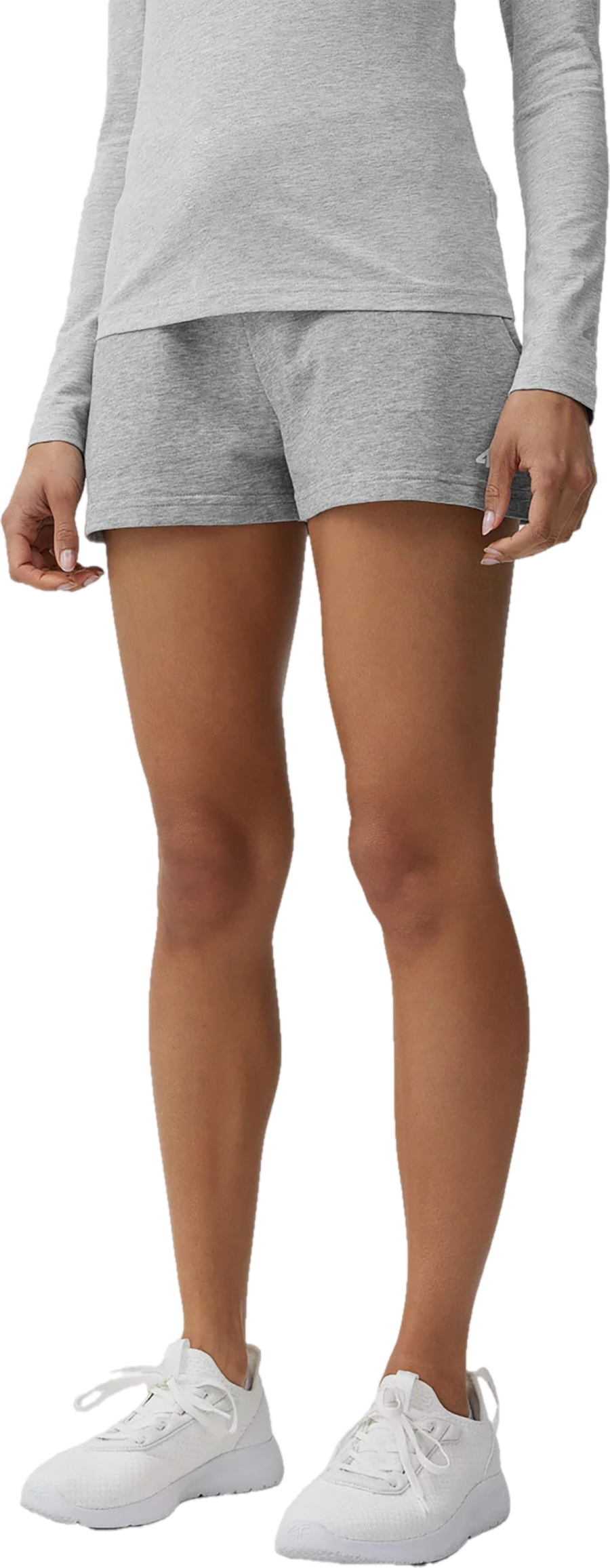 Шорты 4F Shorts Cas F175