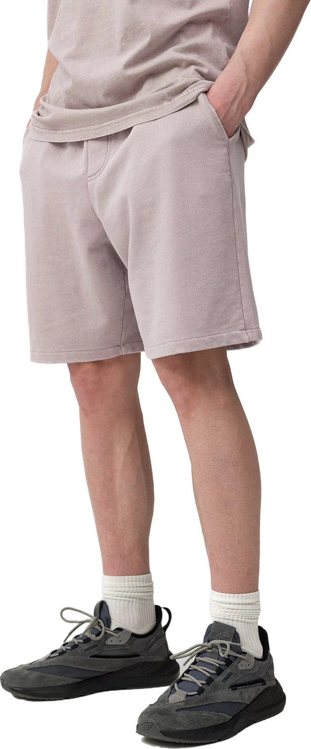 Шорты 4F Shorts Cas M052