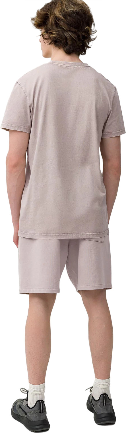 Шорты 4F Shorts Cas M052