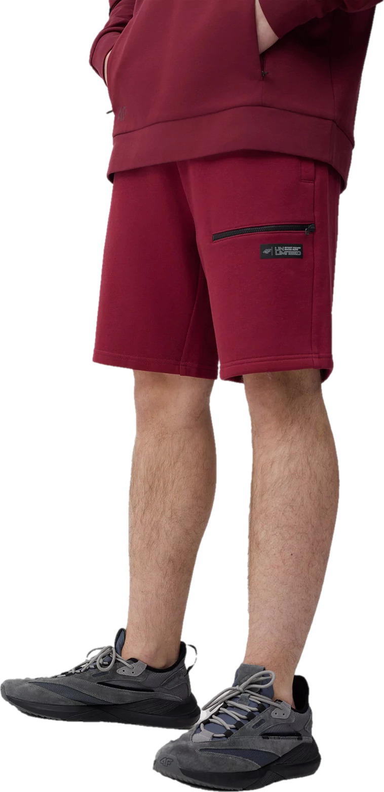 Шорты 4F Shorts Cas M057