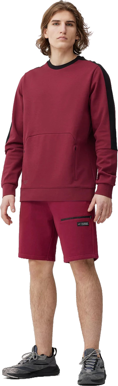 Шорты 4F Shorts Cas M057