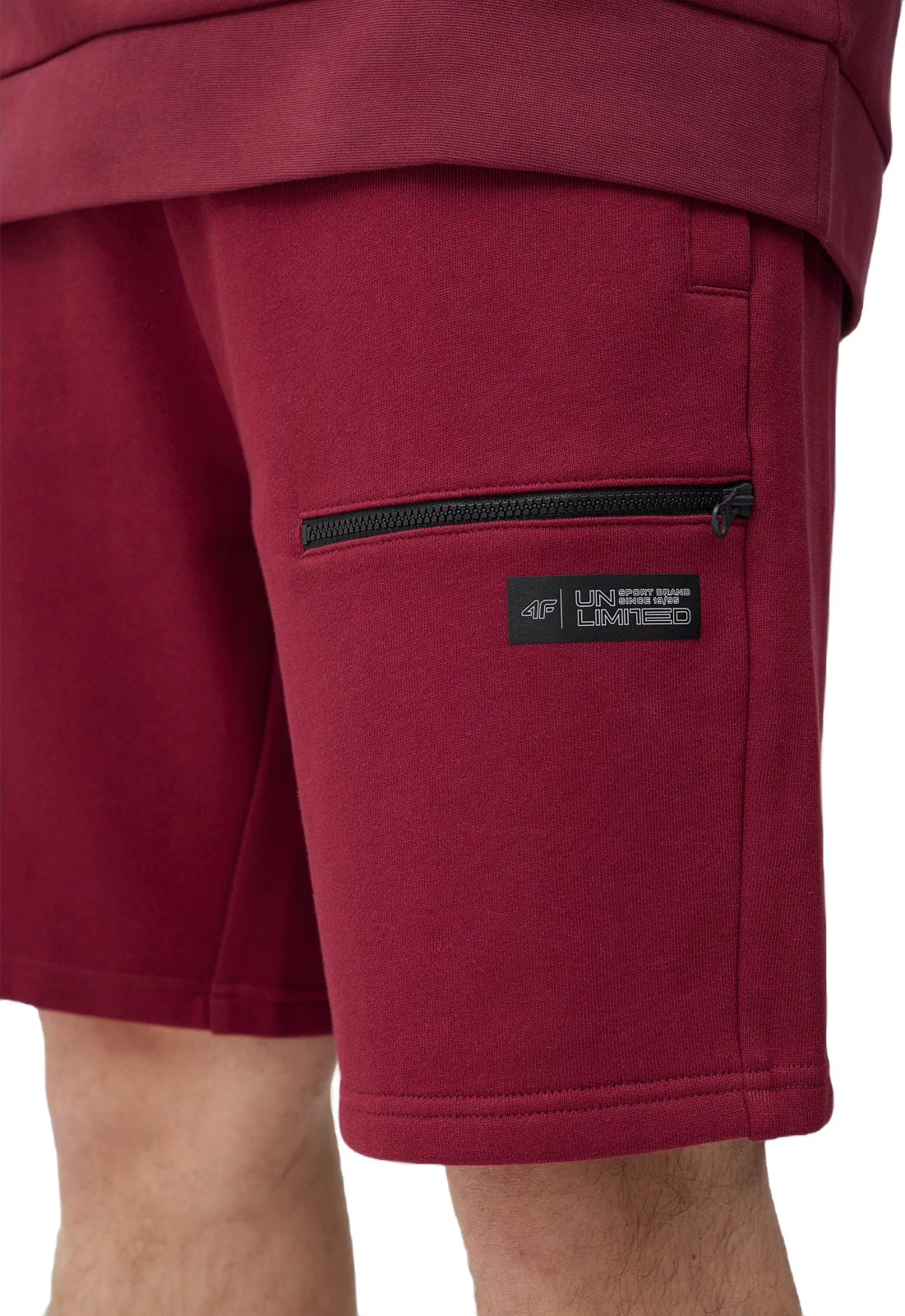 Шорты 4F Shorts Cas M057