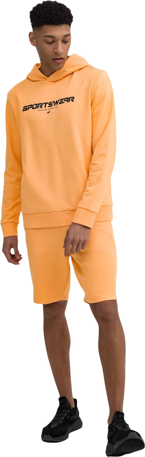 Шорты 4F Shorts Cas M085