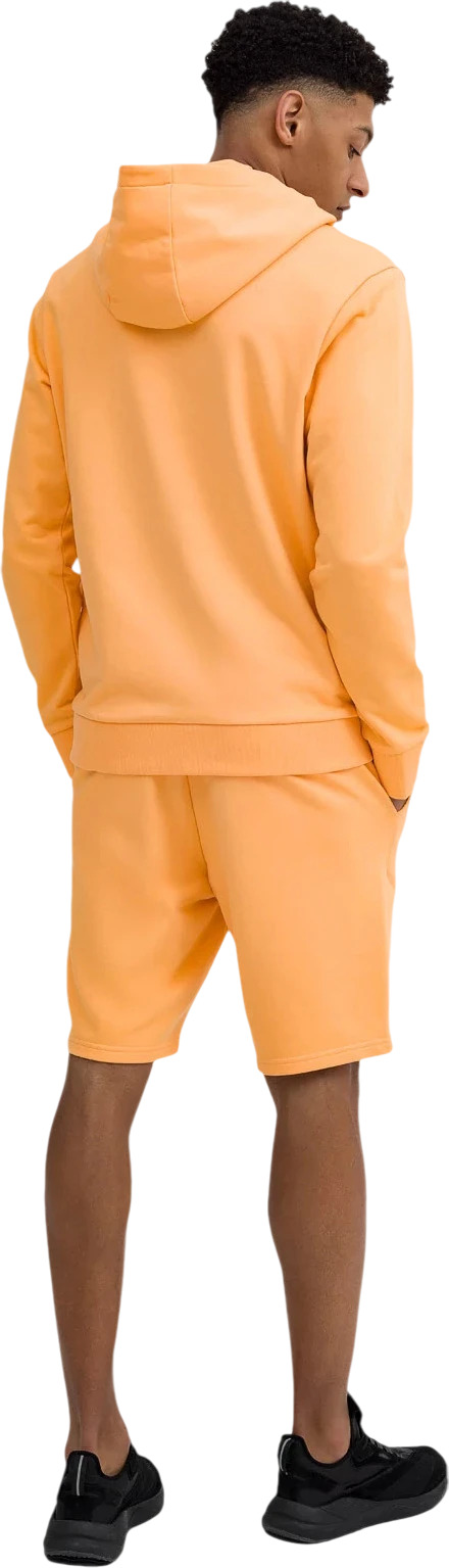 Шорты 4F Shorts Cas M085
