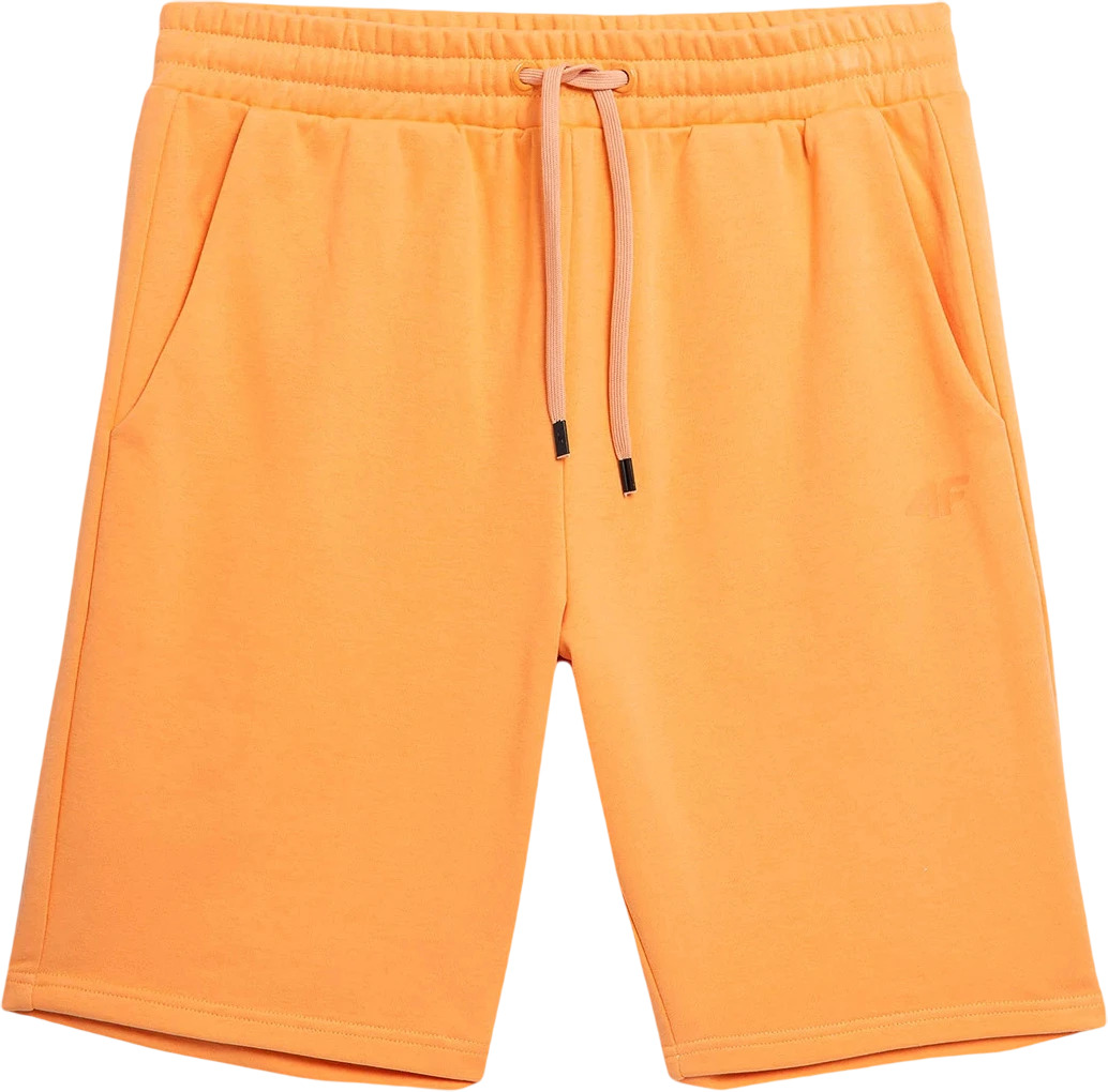 Шорты 4F Shorts Cas M085