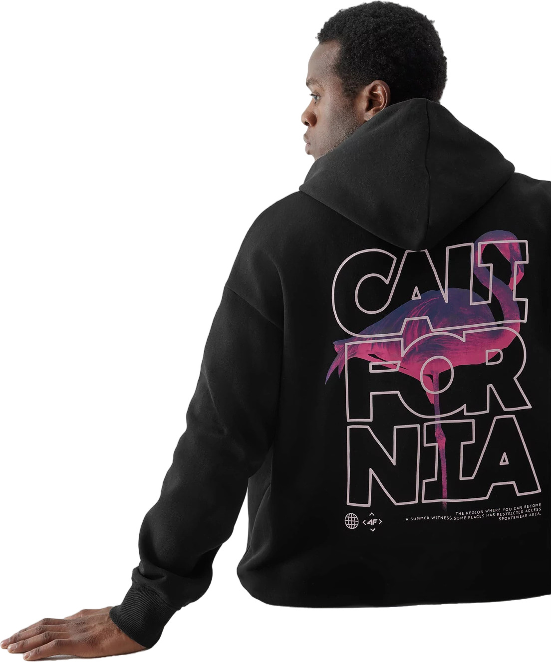 Толстовка 4F Sweatshirt M264