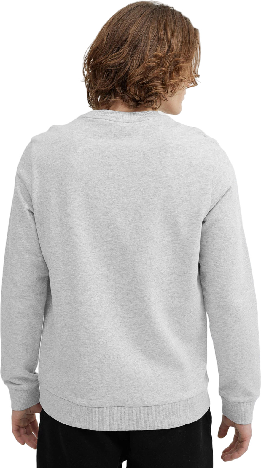 Свитшот 4F Sweatshirt M349