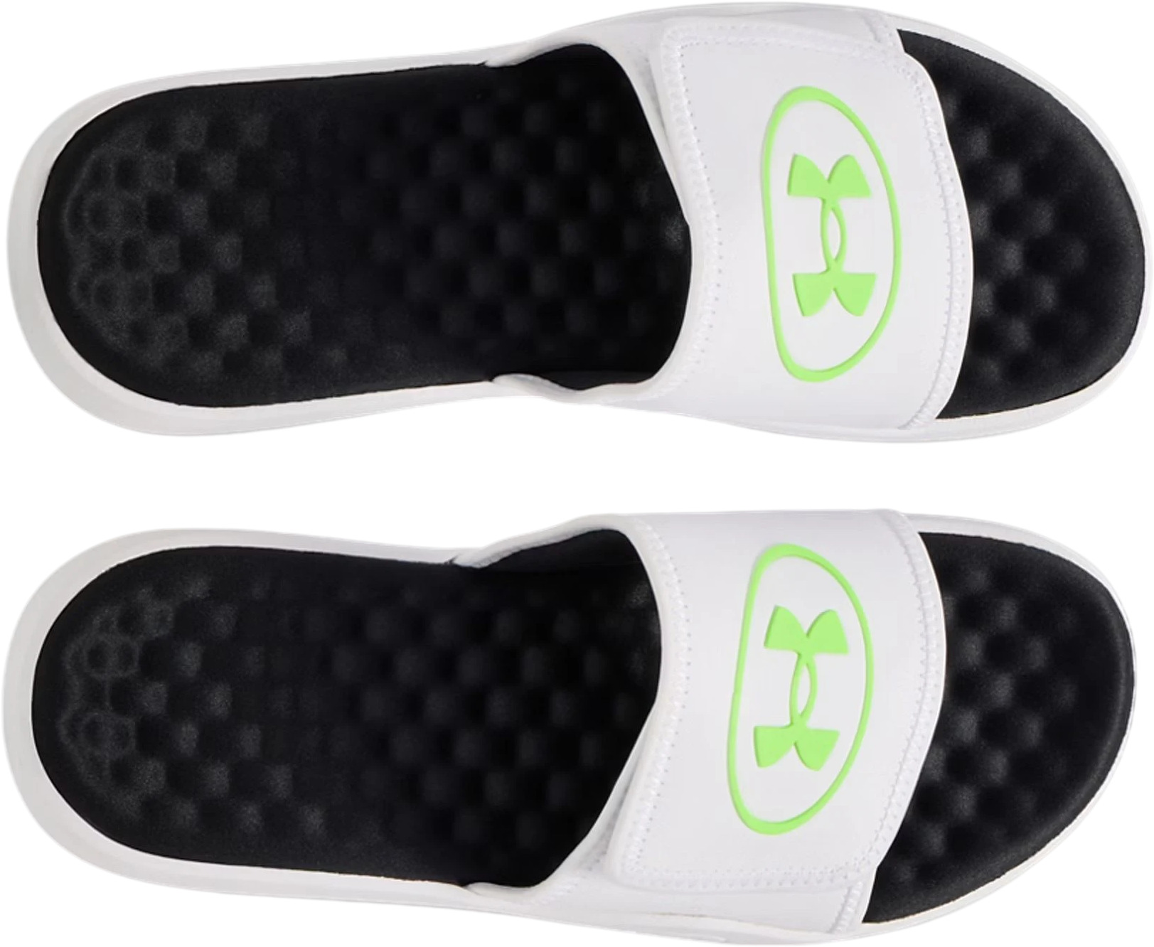 Шлепанцы Under Armour UA Ignite Pro 8 SL