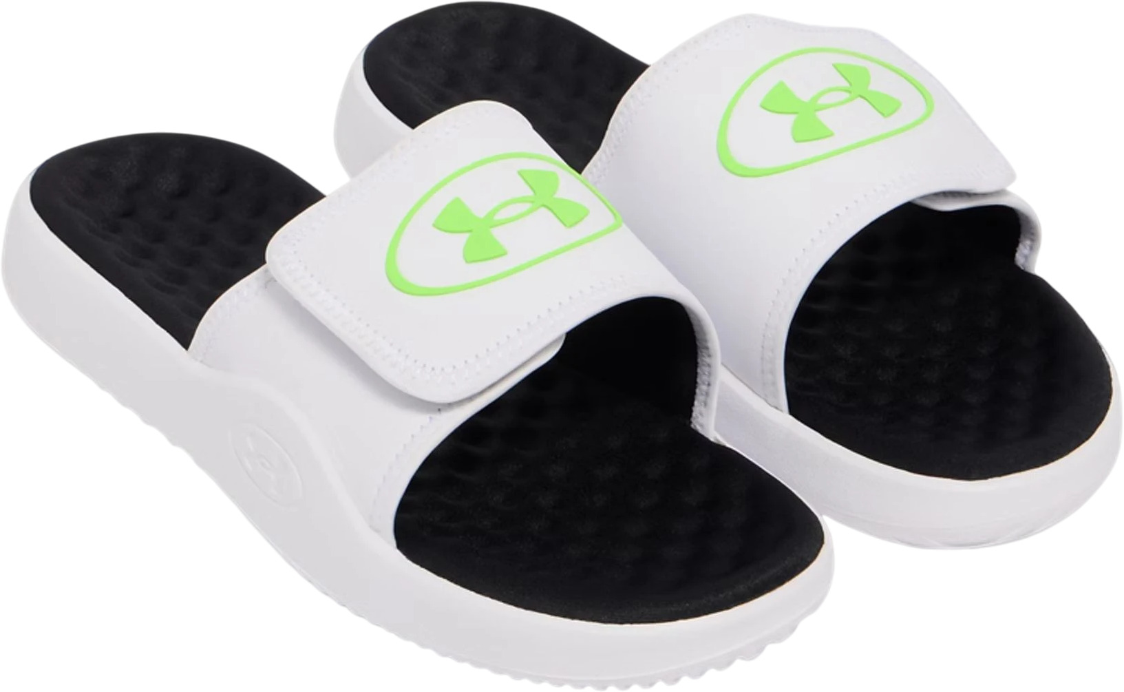 Шлепанцы Under Armour UA Ignite Pro 8 SL