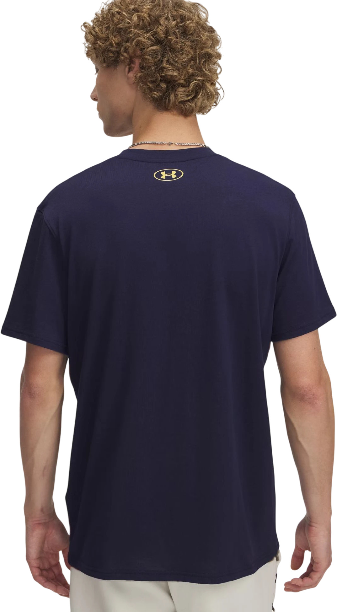 Футболка Under Armour UA M Holiday HW SS