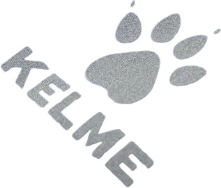 Шорты Kelme Shorts