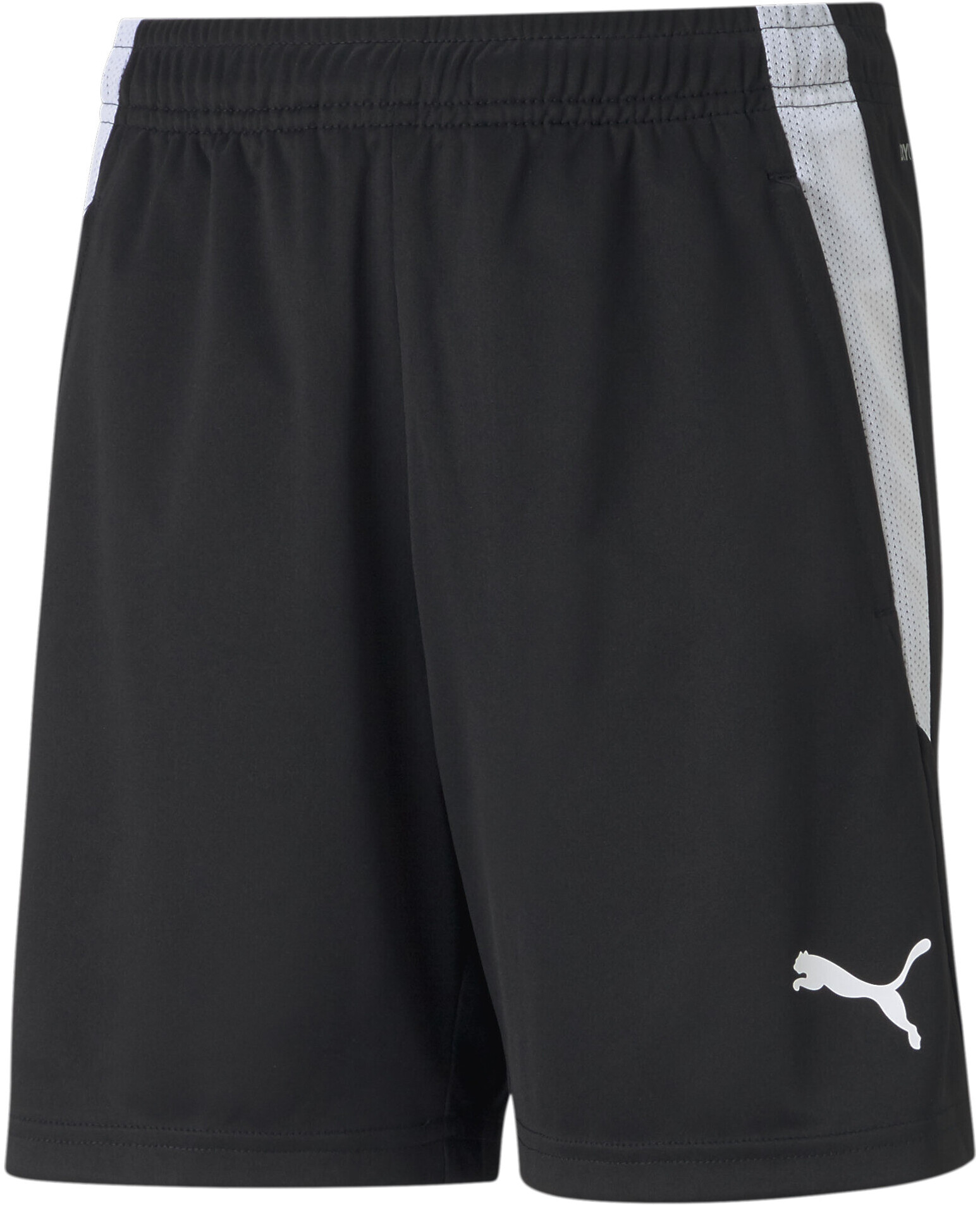 Шорты Puma teamLIGA Training Shorts Jr