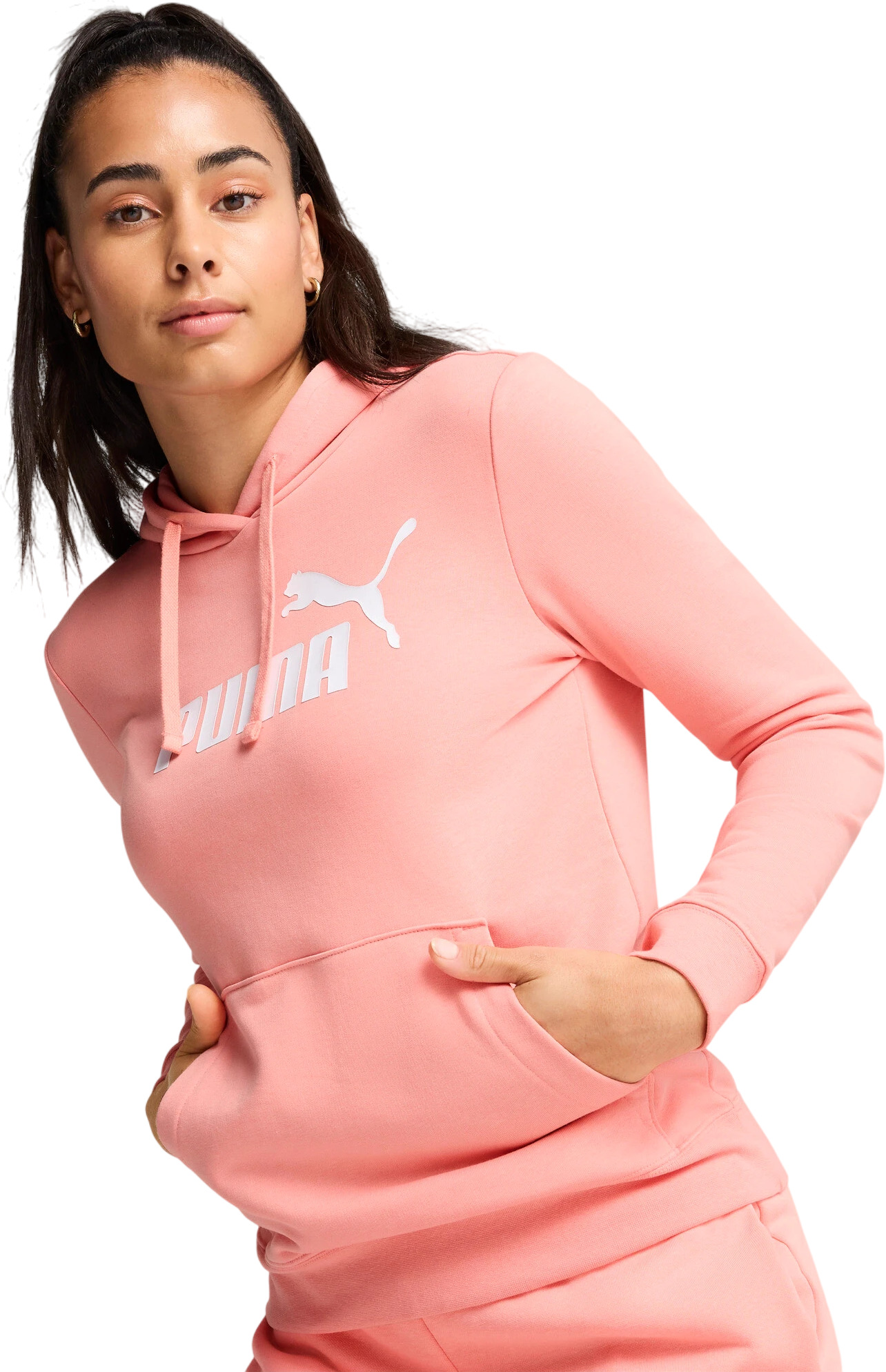 Толстовка Puma Ess No. 1 Logo Hoodie Tr (S)