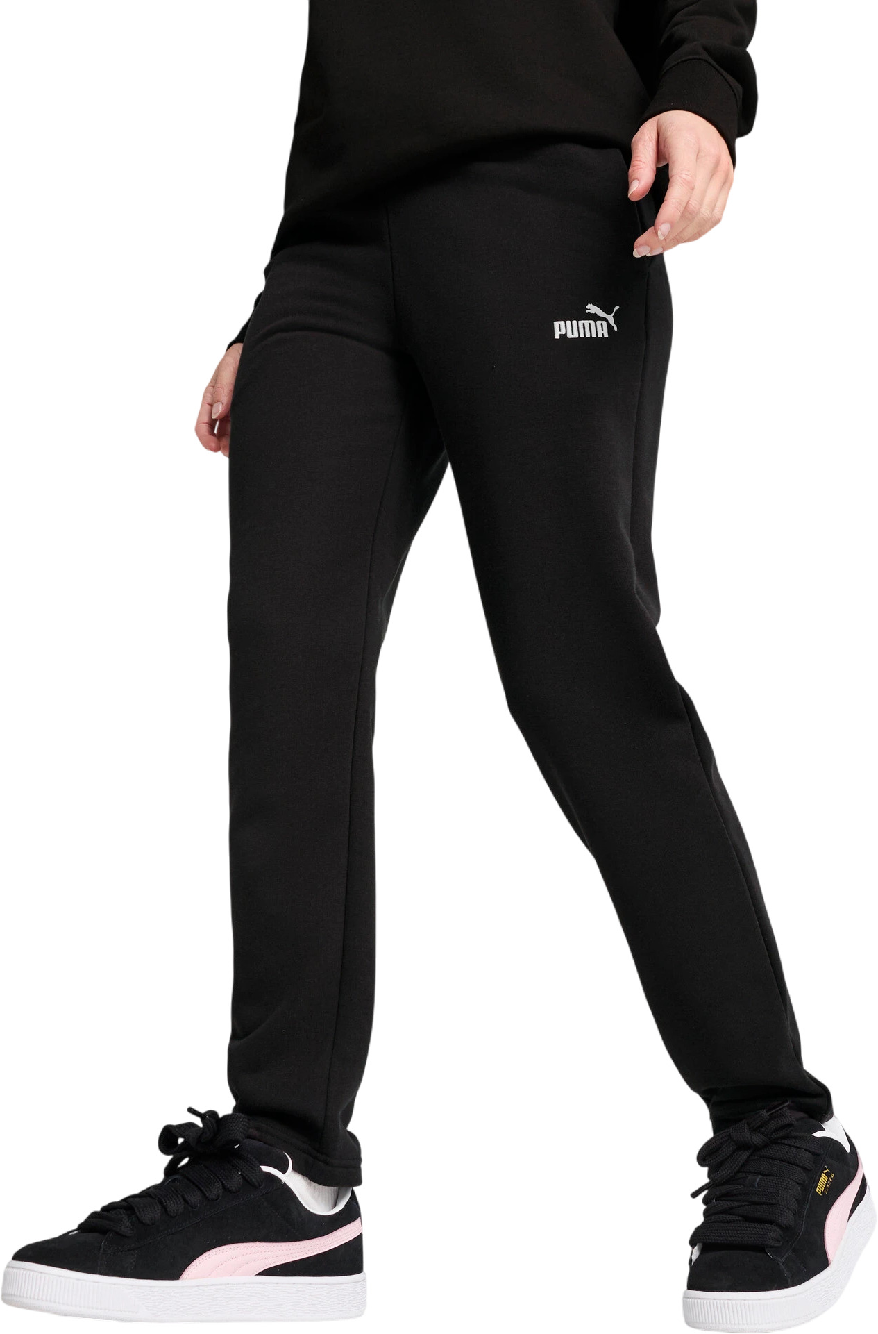 Брюки Puma ESS Small No. 1 Logo Sweatpants TR op