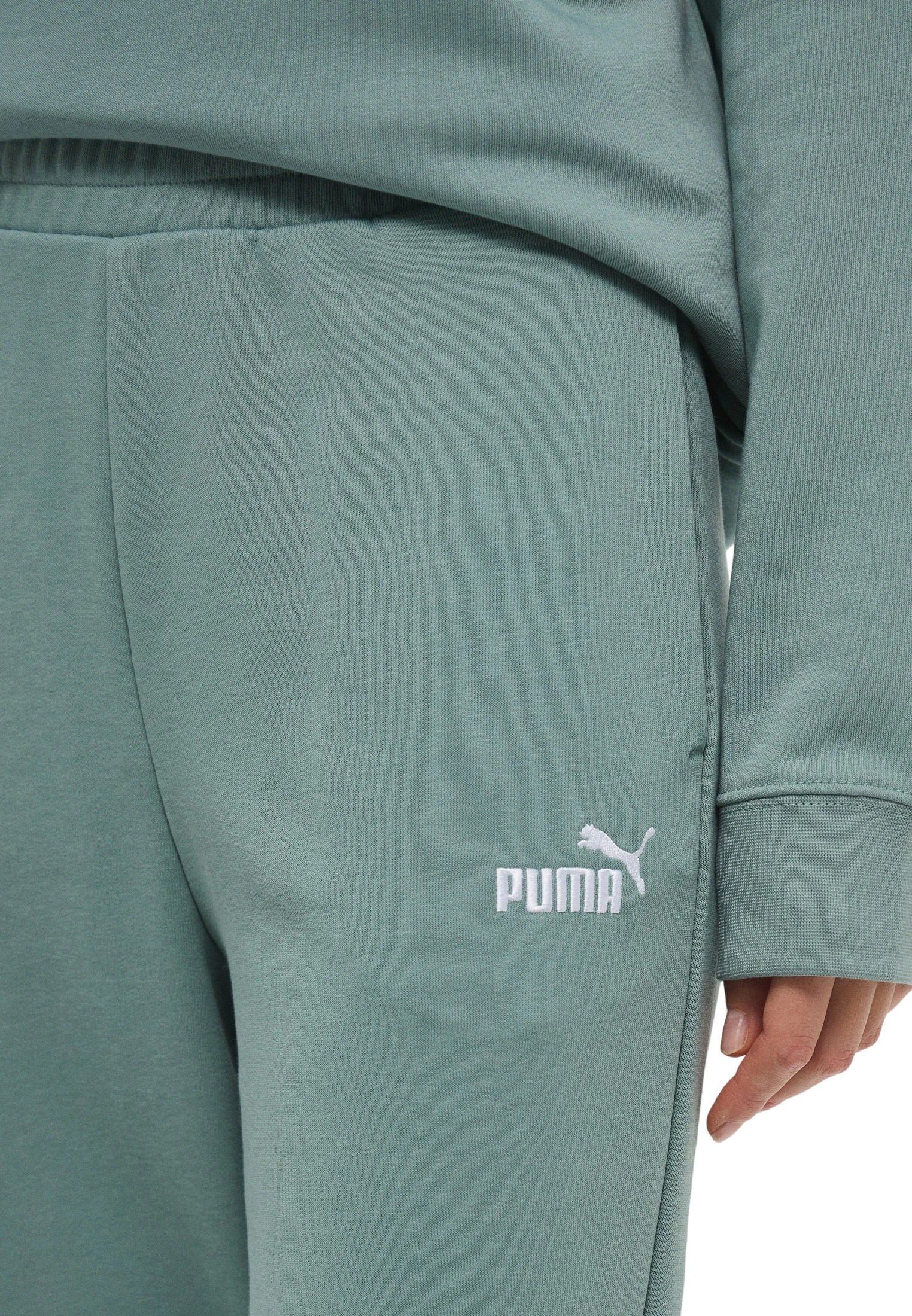 Брюки Puma ESS Small No. 1 Logo Comfort High-Waist Sweatpants TR cl (s)