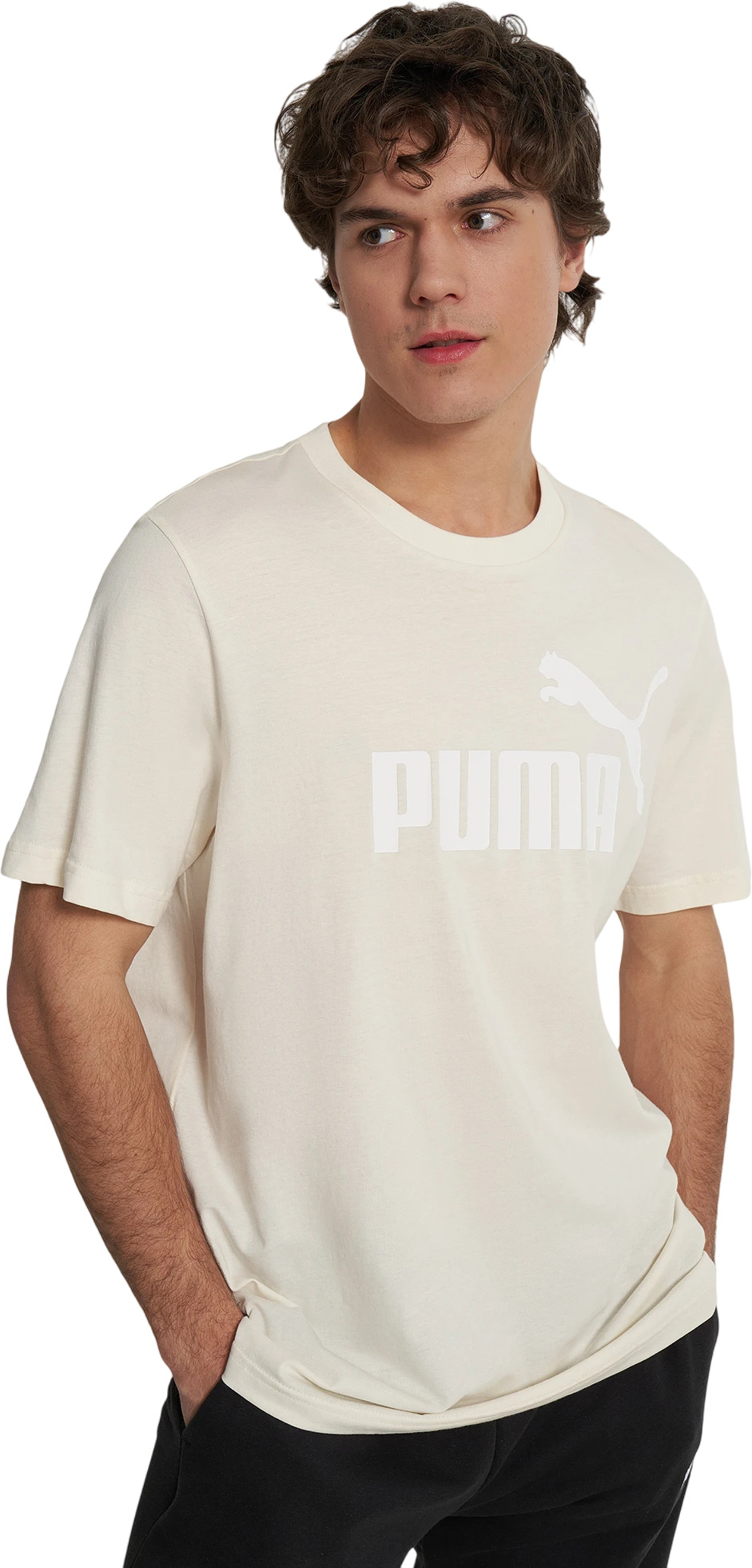 Футболка Puma ESS No. 1 Logo Tee (s)