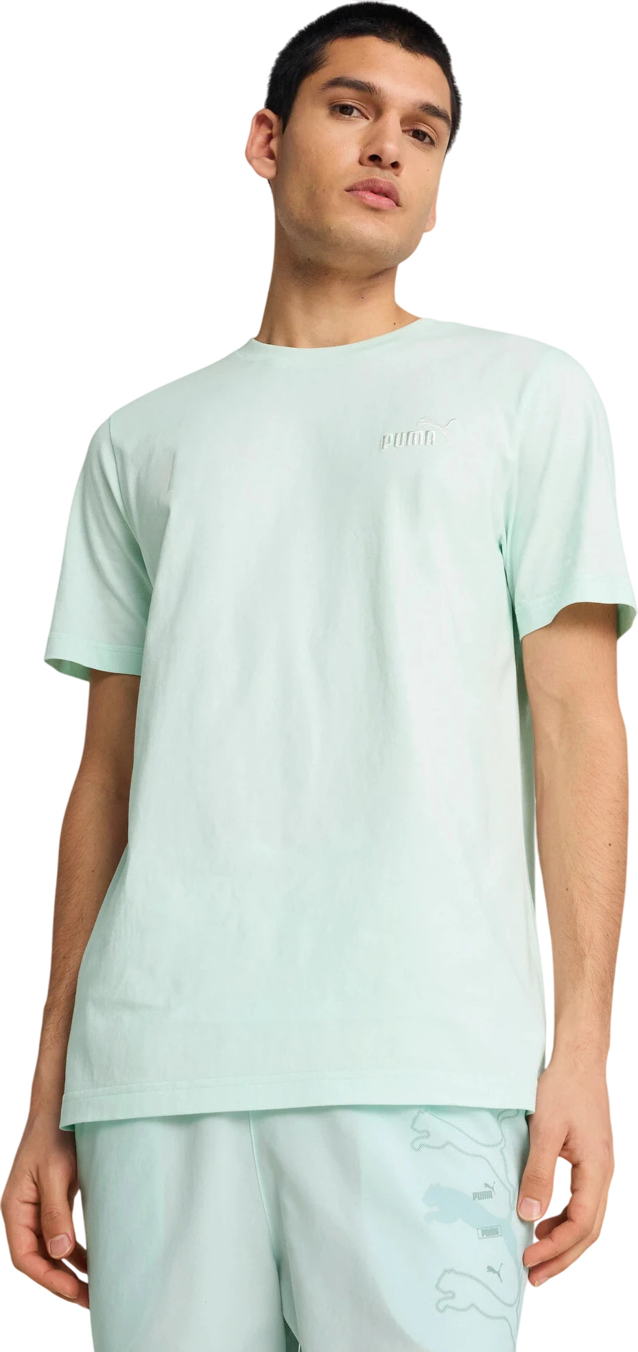 Футболка Puma ESS Small No. 1 Logo Tee (s)