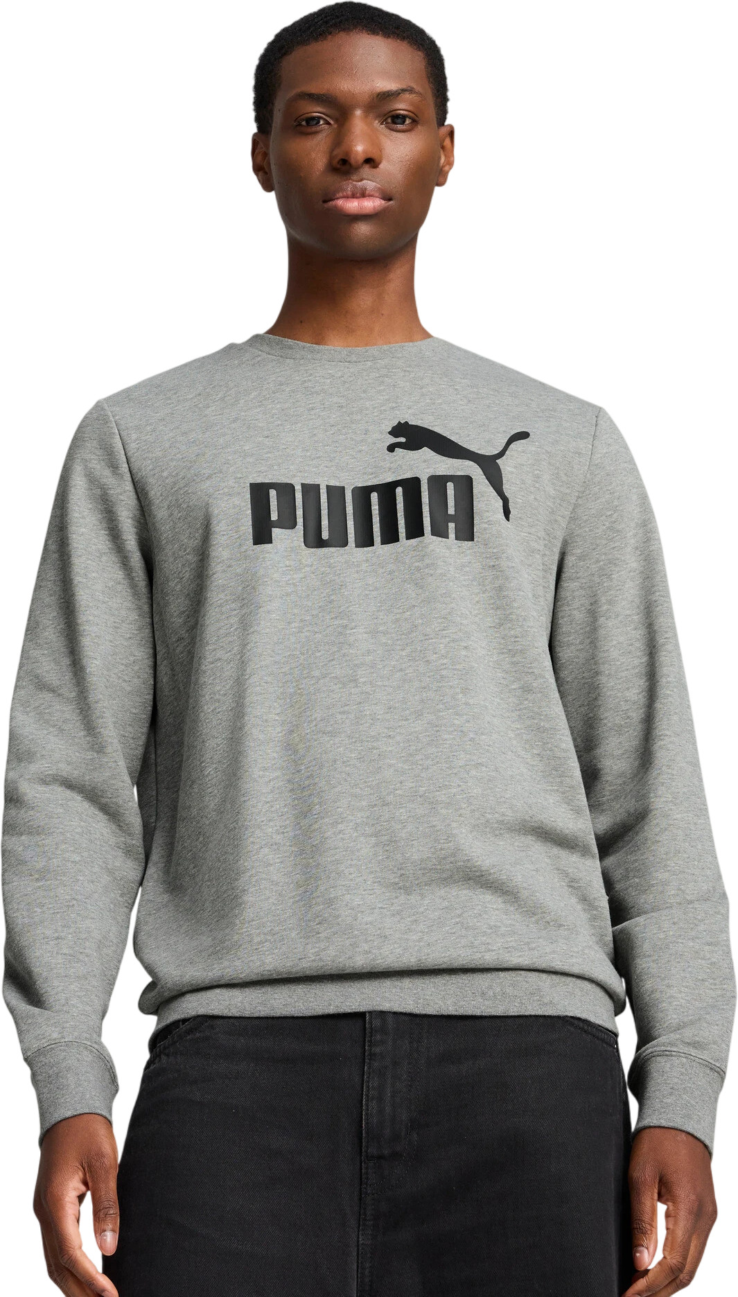 Джемпер Puma ESS No. 1 Logo Crew TR