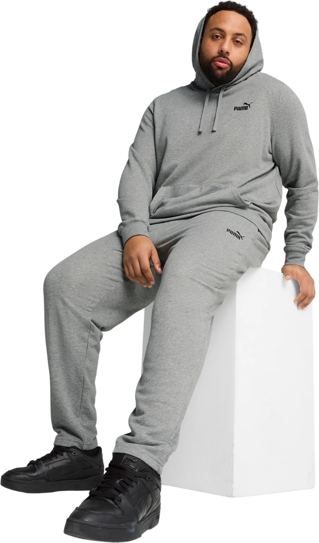 Толстовка Puma ESS Small No. 1 Logo Hoodie TR
