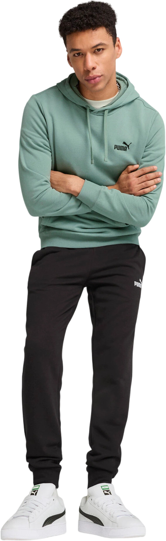Толстовка Puma ESS Small No. 1 Logo Hoodie TR (s)