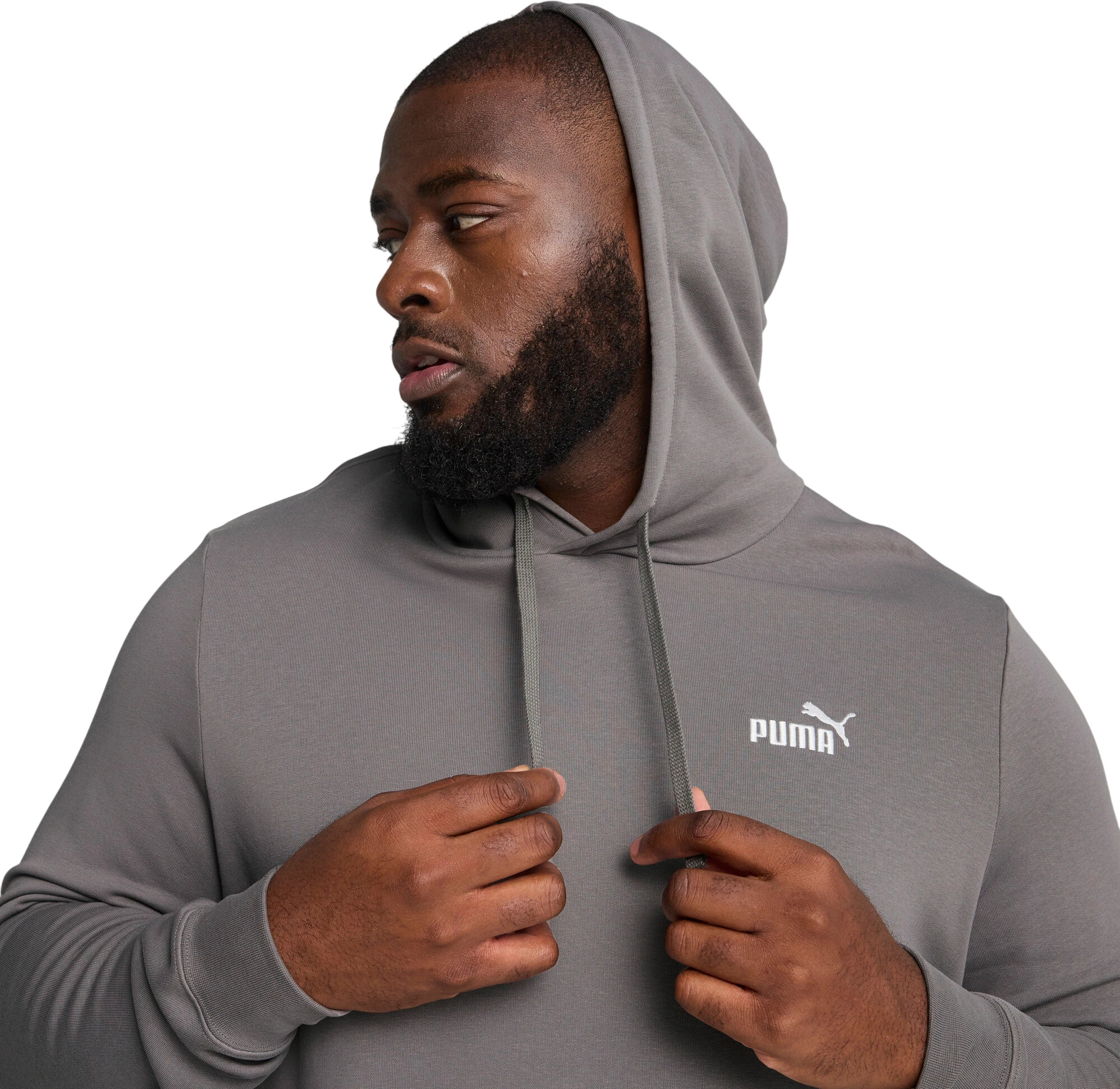 Толстовка Puma ESS Small No. 1 Logo Hoodie TR (s)