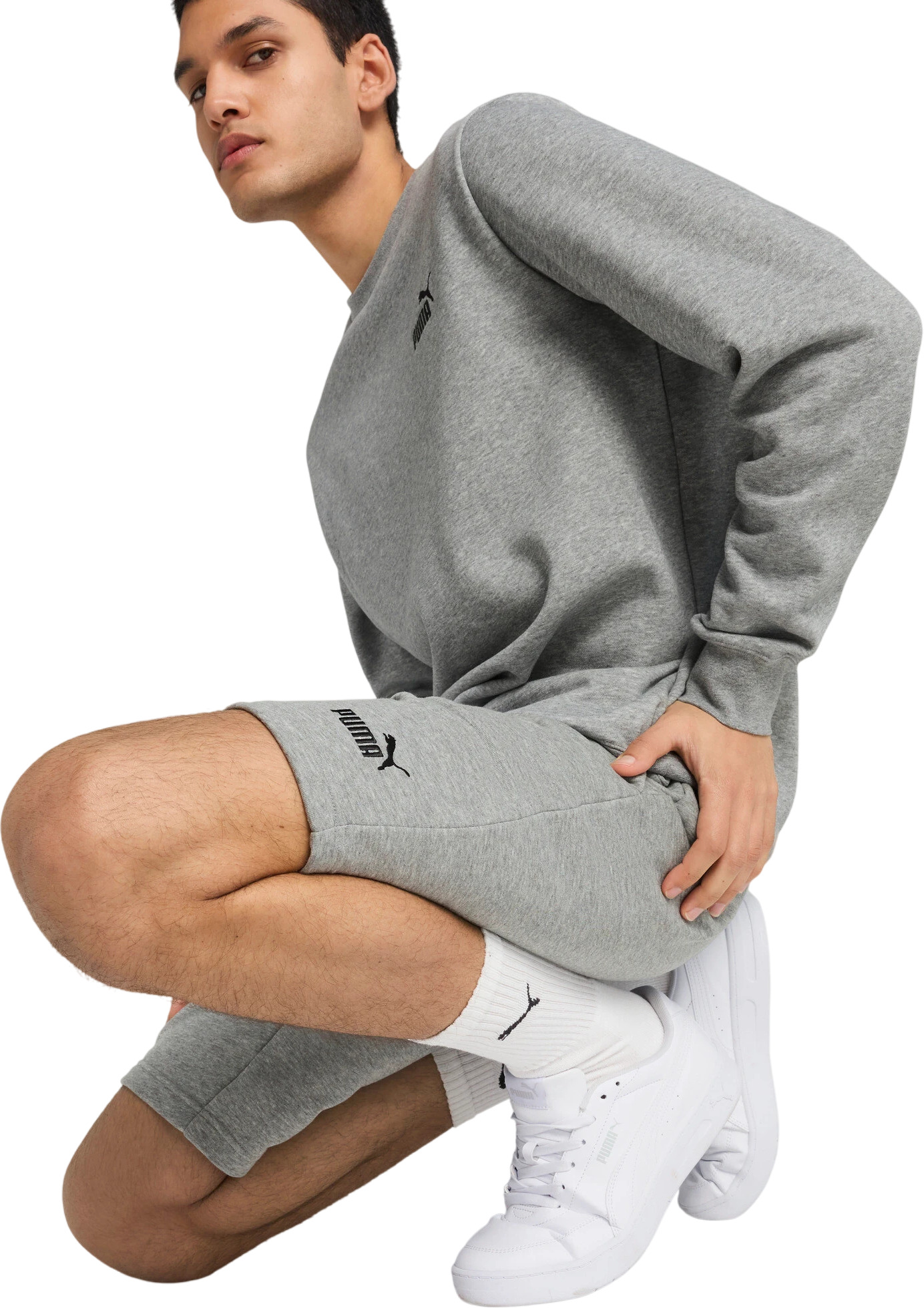 Шорты Puma ESS No. 1 Logo Shorts 10"