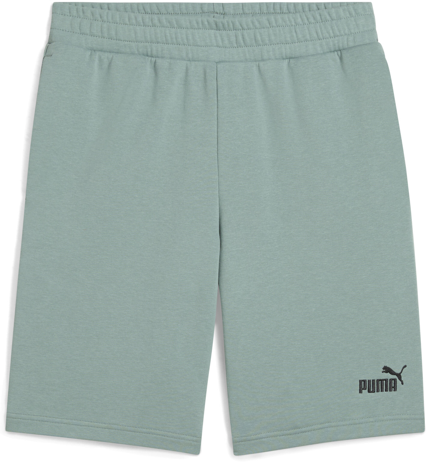 Шорты Puma ESS No. 1 Logo Shorts 10" (s)