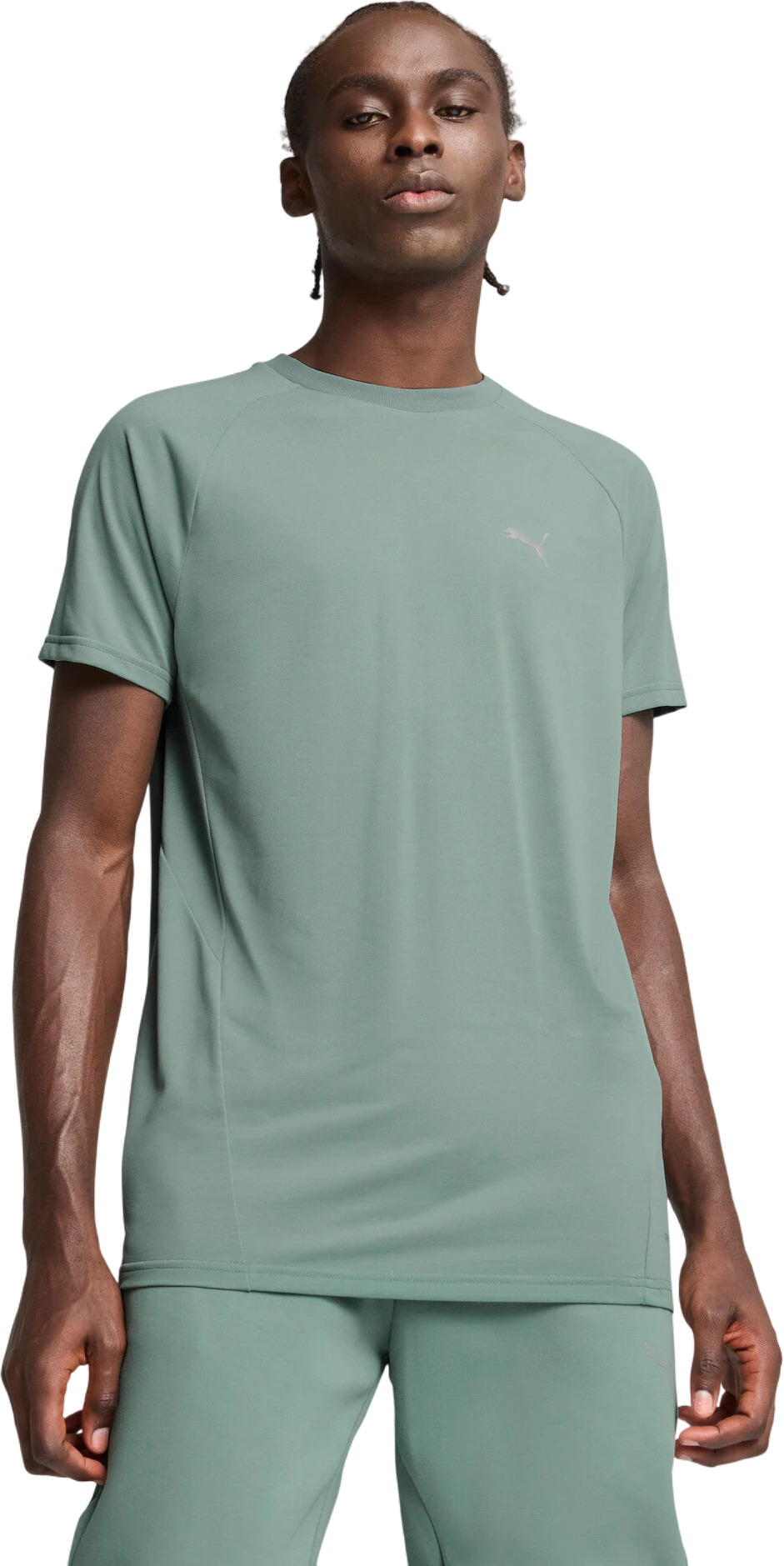 Футболка Puma EVOSTRIPE Tee