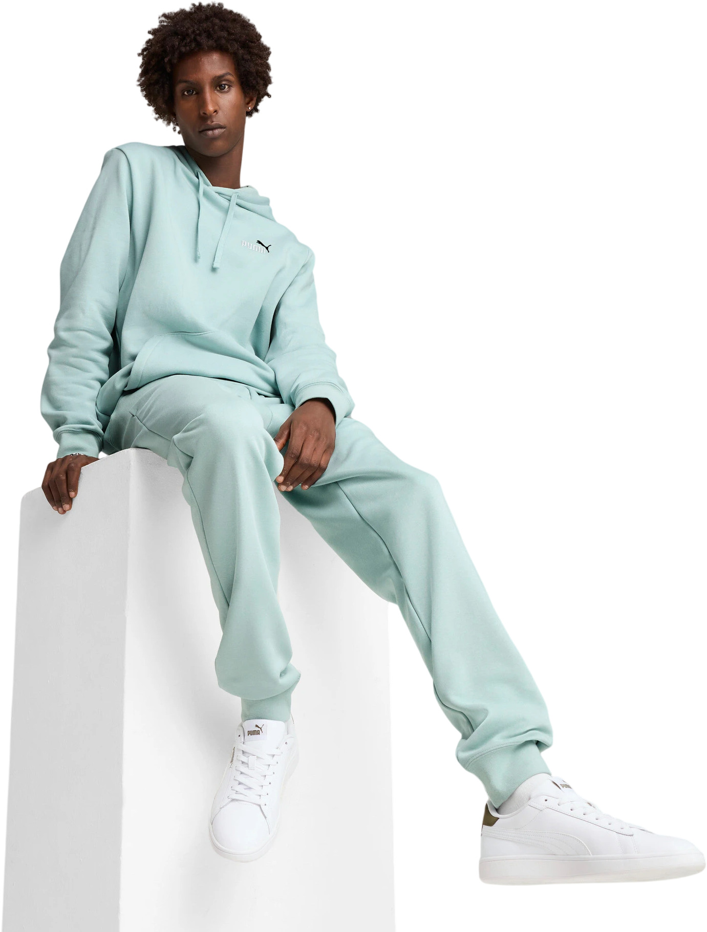 Брюки Puma ESS 2 COLOR No. 1 Logo Sweatpants TR cl