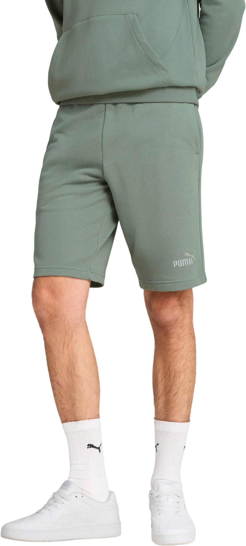 Шорты Puma ESS 2 COLOR No. 1 Logo Shorts 10" TR