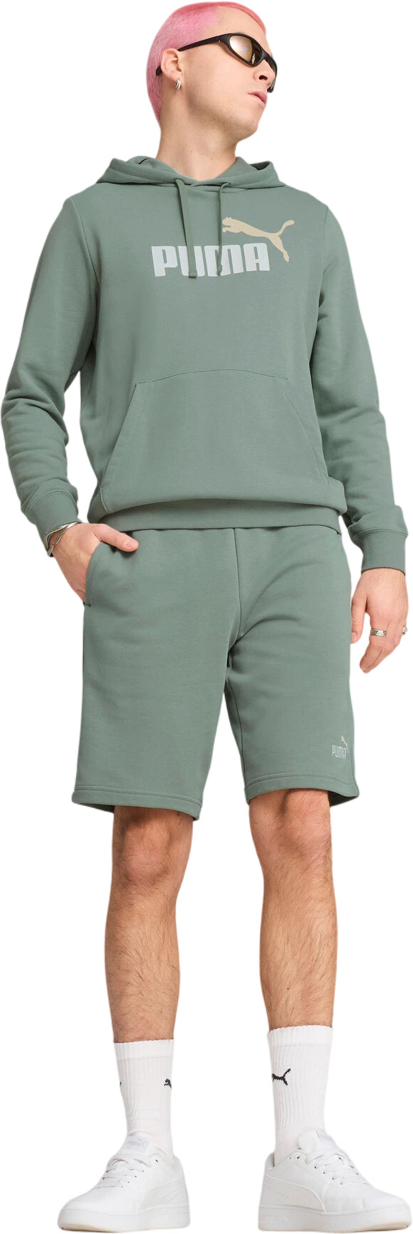 Шорты Puma ESS 2 COLOR No. 1 Logo Shorts 10" TR