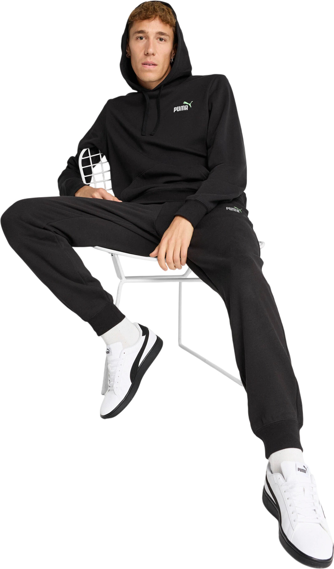 Толстовка Puma ESS 2 COLOR Small No. 1 Logo Hoodie TR