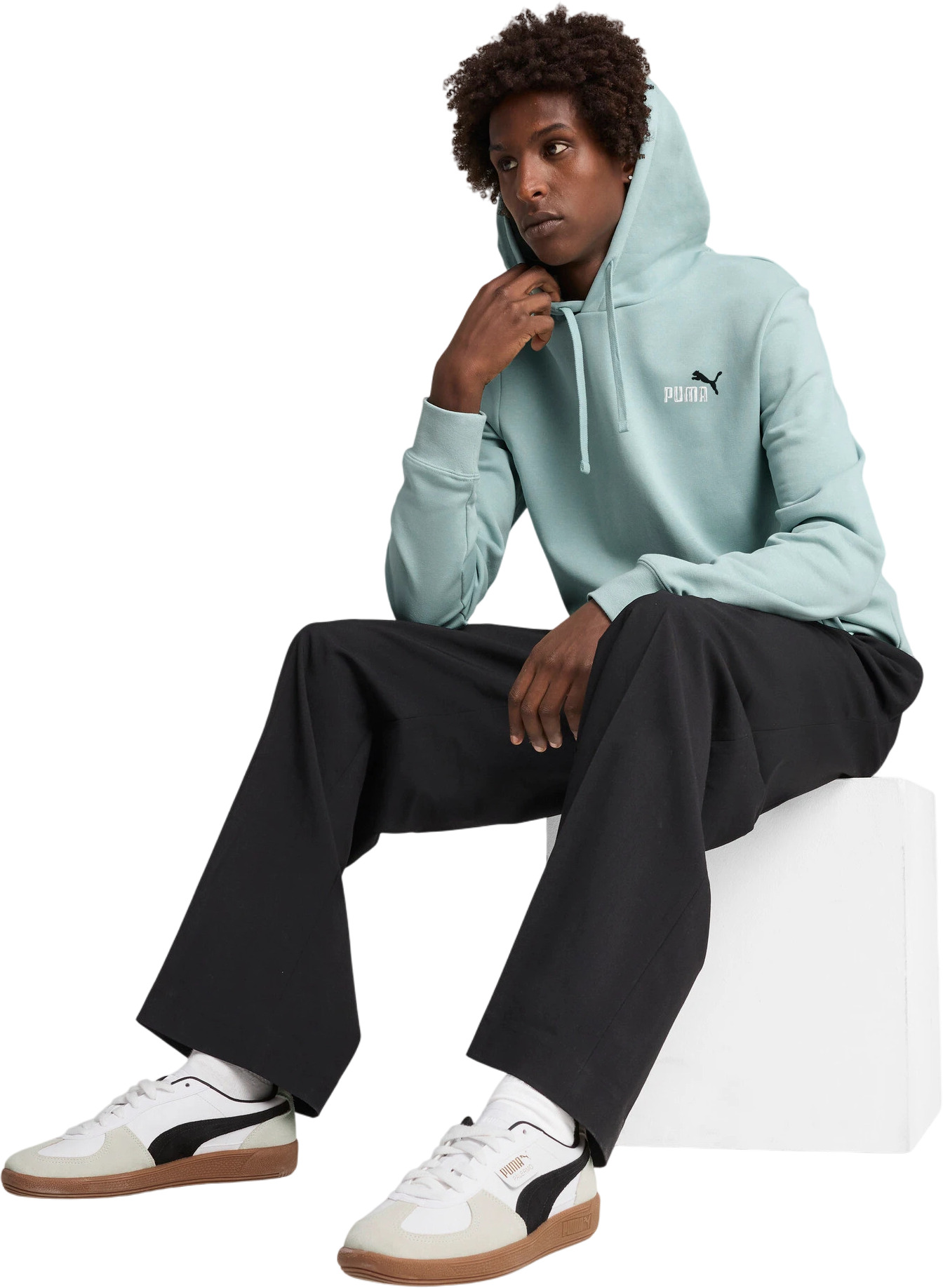 Толстовка Puma ESS 2 COLOR Small No. 1 Logo Hoodie TR