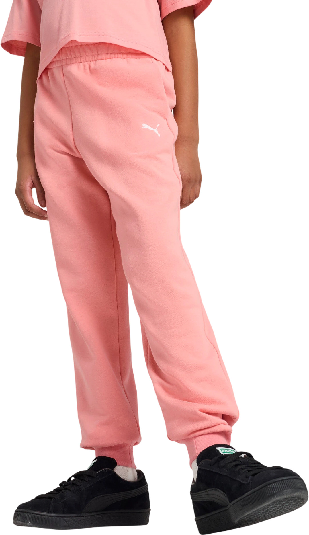 Брюки Puma ESS Sweatpants CL TR G
