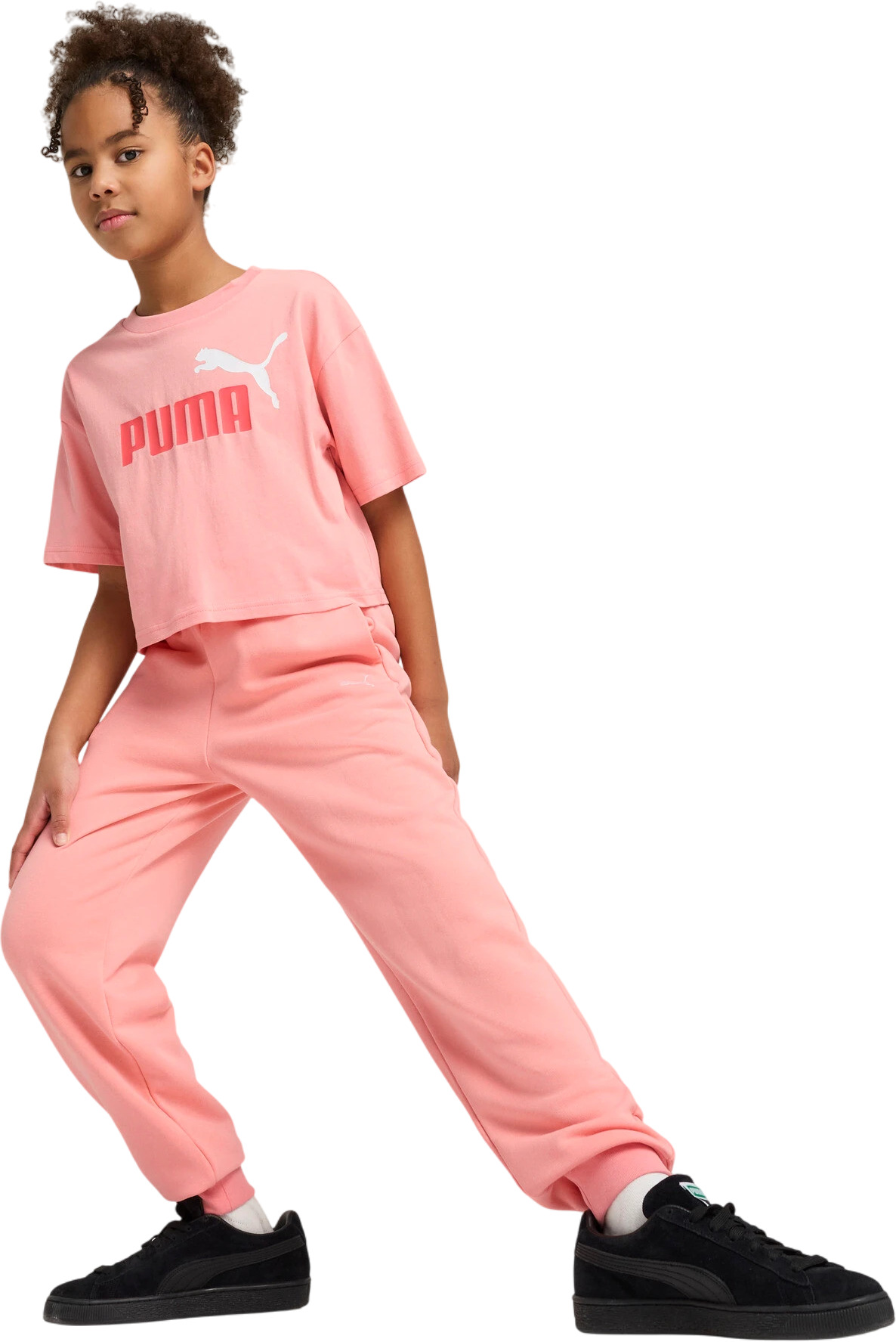 Брюки Puma ESS Sweatpants CL TR G