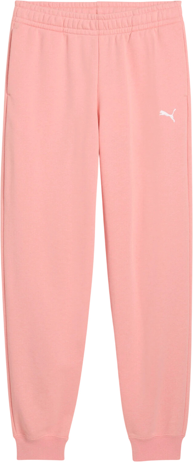 Брюки Puma ESS Sweatpants CL TR G
