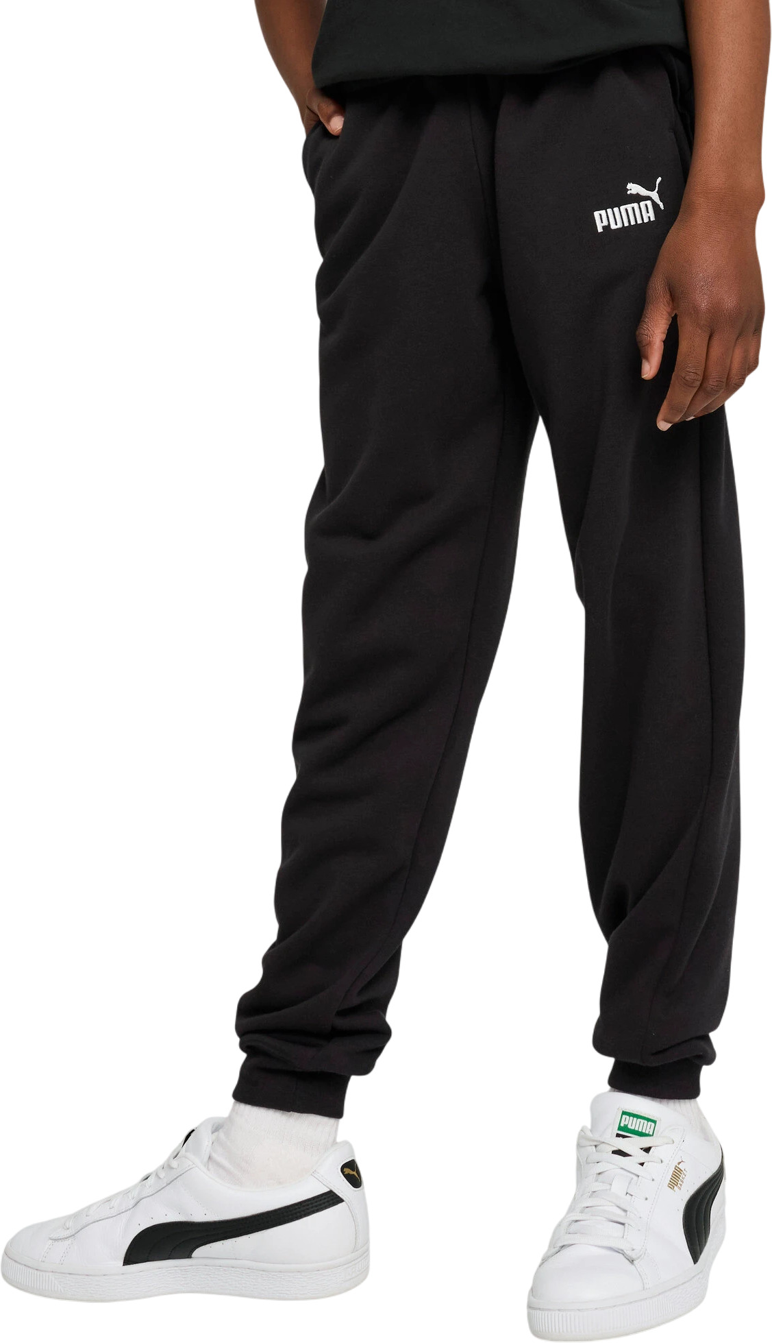 Брюки Puma ESS No. 1 Logo Sweatpants TR B
