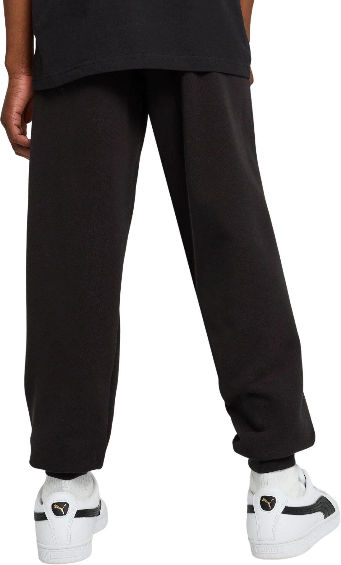 Брюки Puma ESS No. 1 Logo Sweatpants TR B