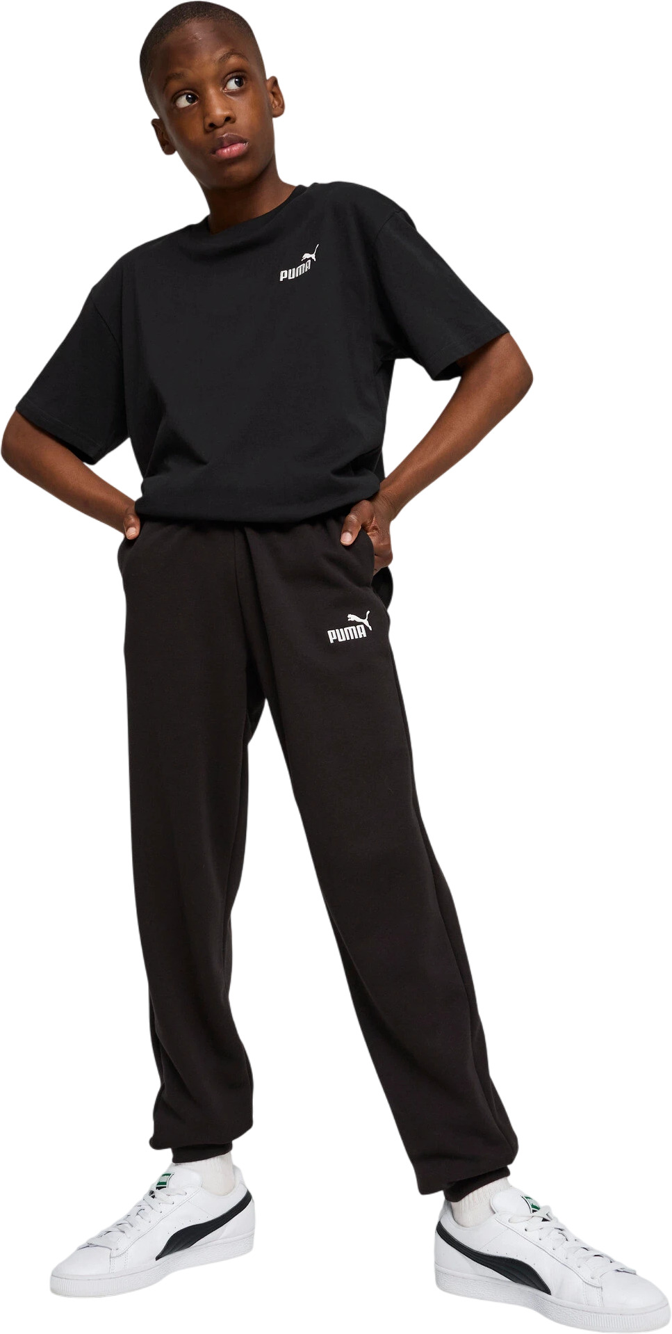 Брюки Puma ESS No. 1 Logo Sweatpants TR B