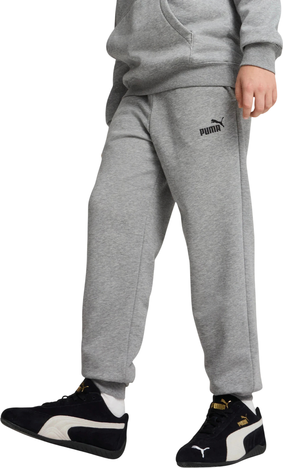 Брюки Puma ESS No. 1 Logo Sweatpants TR B