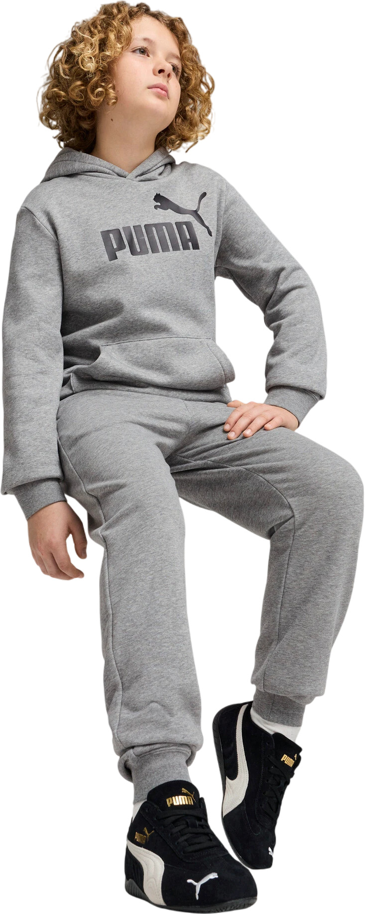 Брюки Puma ESS No. 1 Logo Sweatpants TR B