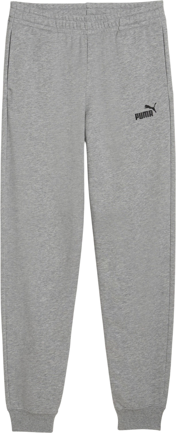 Брюки Puma ESS No. 1 Logo Sweatpants TR B